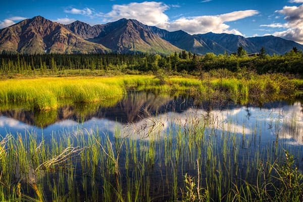 Denali National Park