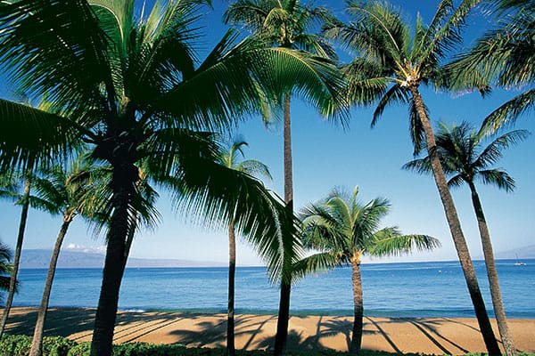 Visit the Polynesian Cultural Center on your Hawaii cruise