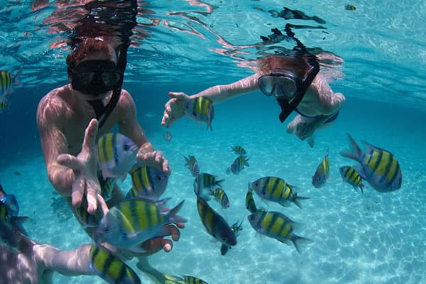 Scuba on your Grand Bahama cruise