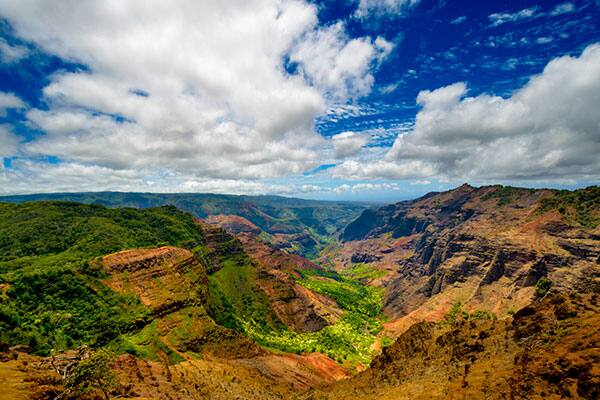 Hawaii Cruise