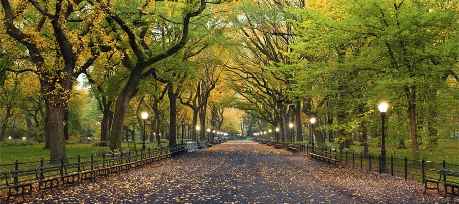 Cruise to New York and stroll Central Park