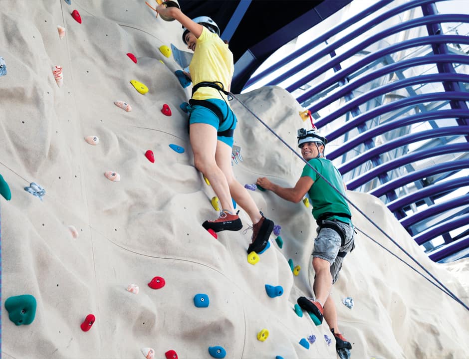 Climbing Wall