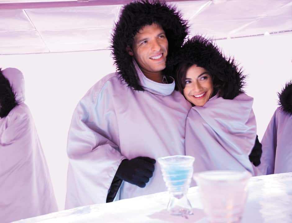 SKYY® Vodka Ice Bar