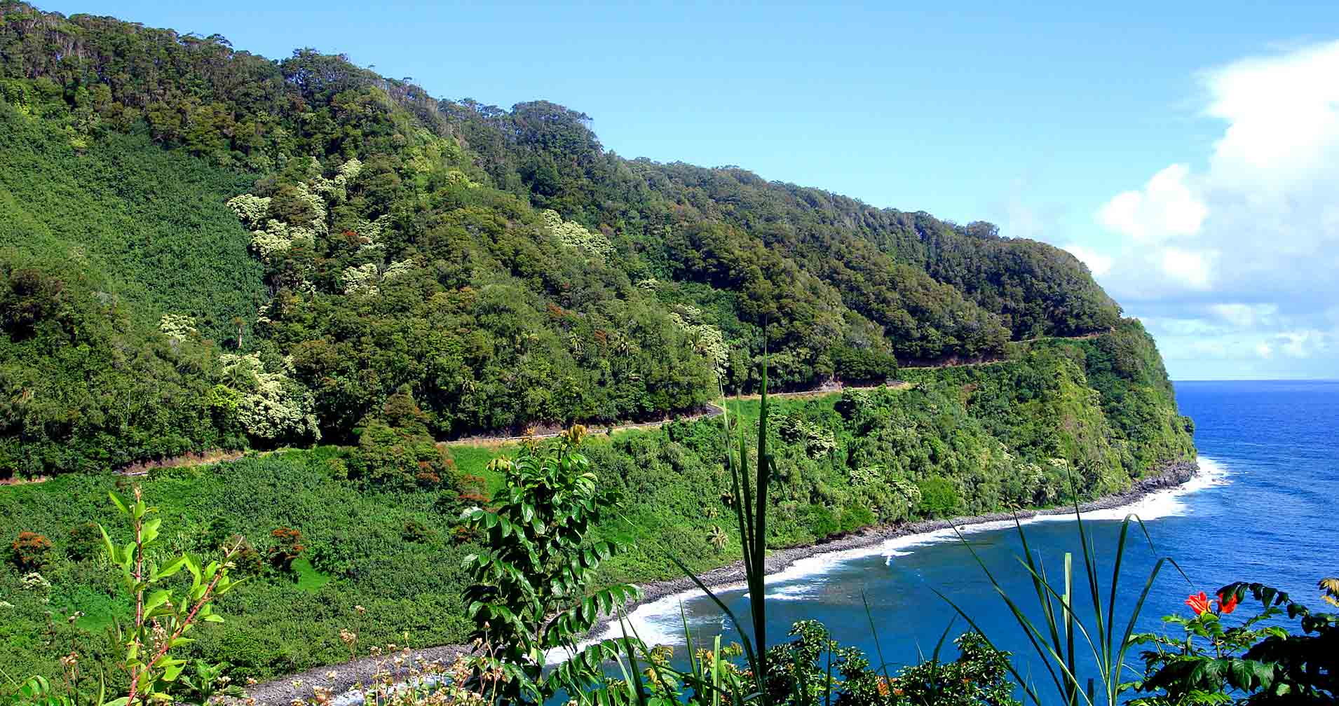 Road To Hana