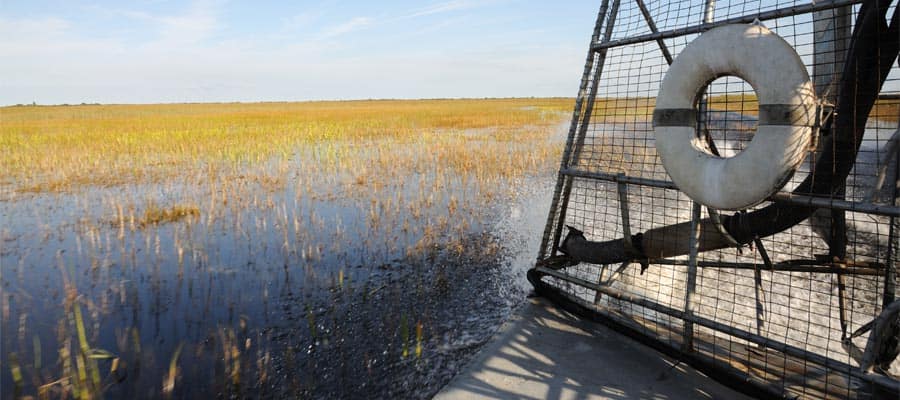 Ride an airboat in Orlando before your Caribbean cruise