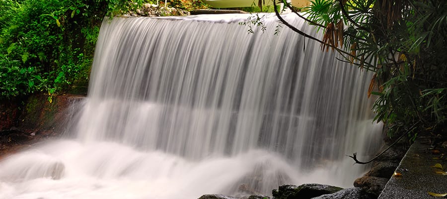 Visit the waterfall at Penang Botanical Garden when you cruise to Penang