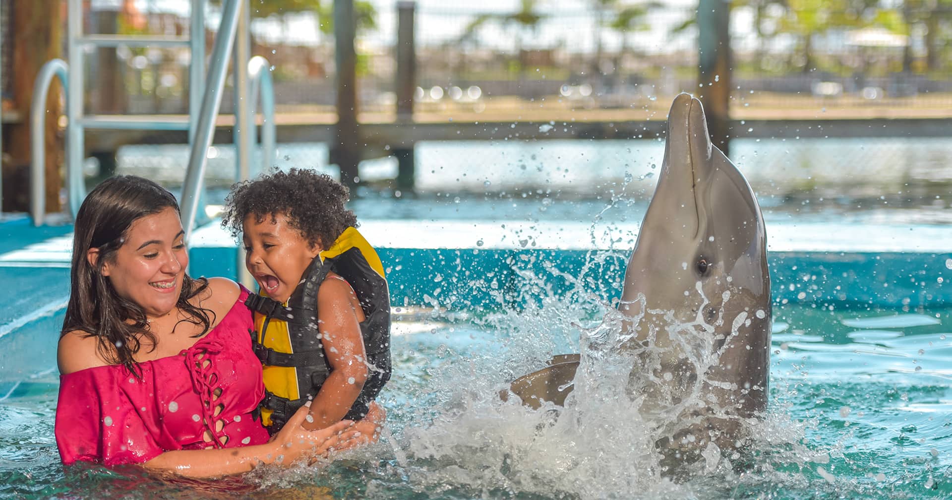 Dolphin Encounter & Ocean World Adventure