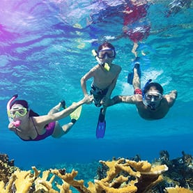 Enjoy a Southern Caribbean cruise with your family on Caribbean's Leading Cruise Line.