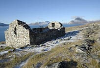 Vikings Settlement