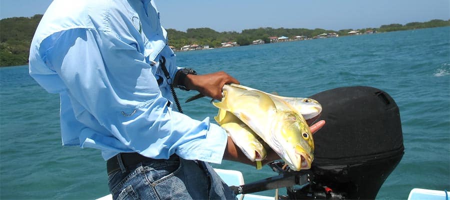 Fish when you cruise to Roatan