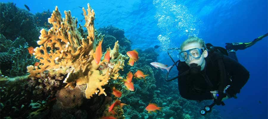 Snorkel on your St. Thomas cruise