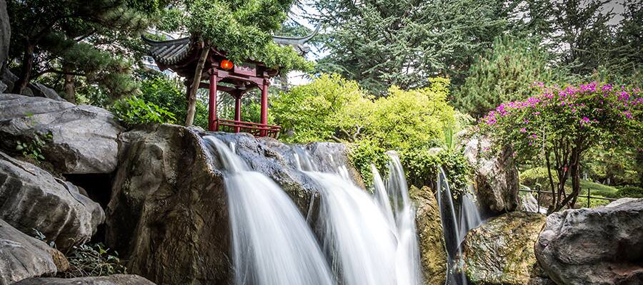 Garden of Friendship Waterfall on a Sydney Cruise