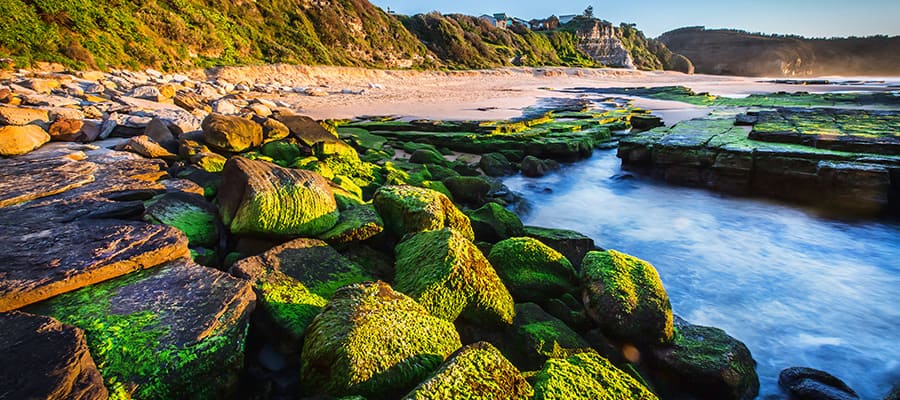 Turimetta beach on a Sydney Cruise