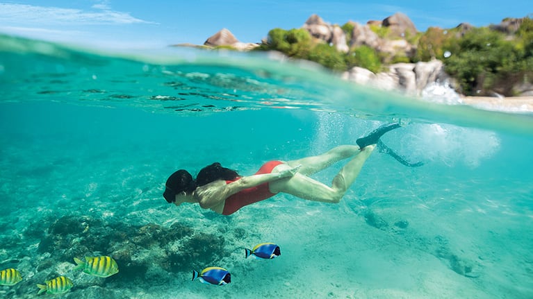 lady diver discovering conch shell