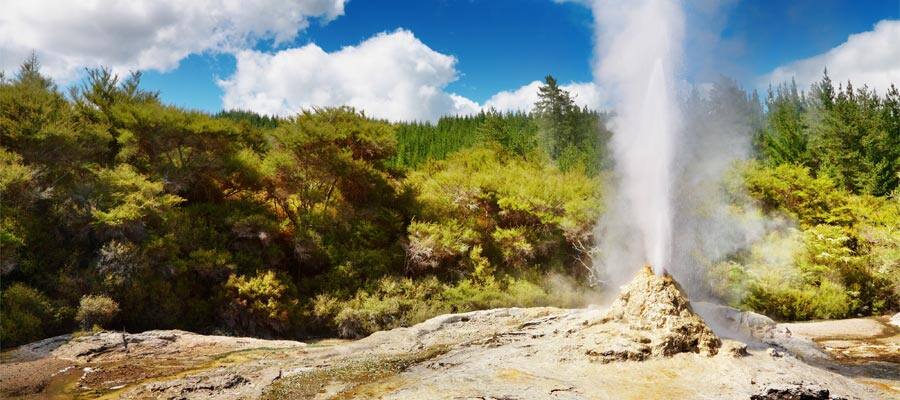 Lady Knox Geyser on a Cruise to Tauranga