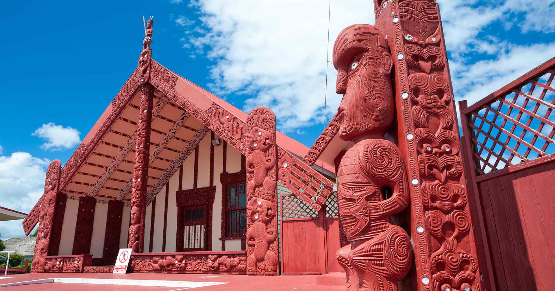 Highlights of Tauranga & Maori Culture