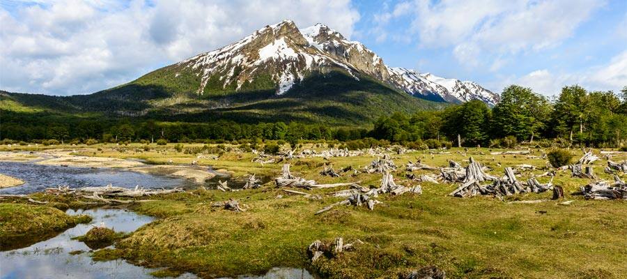 Cruise to Ushuaia National Park