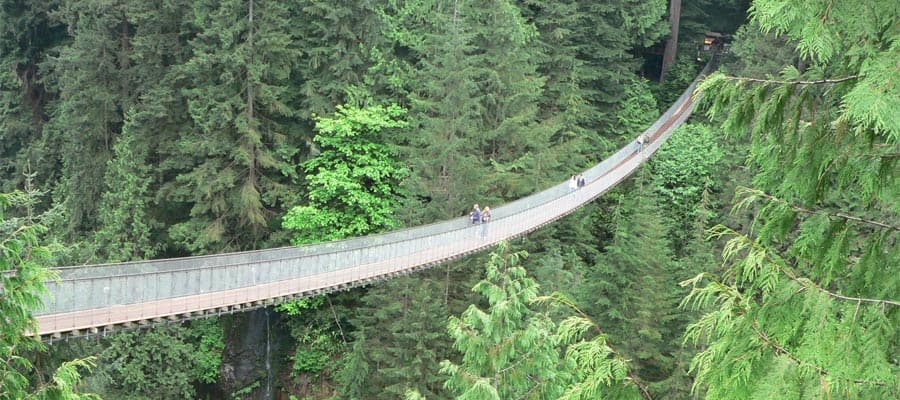 Capilano Bridge on a Vancouver cruise