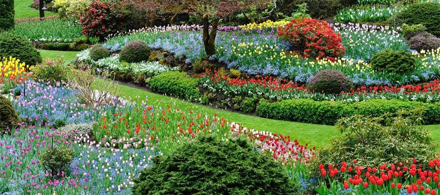 Beautiful Butchart Gardens on your Victoria cruise