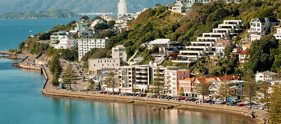 Wellington's Oriental Bay  on a Cruise to Wellington