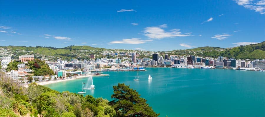 View from Mount Victoria on a Wellington Cruise