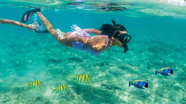 $50 Shore Excursion Credit
