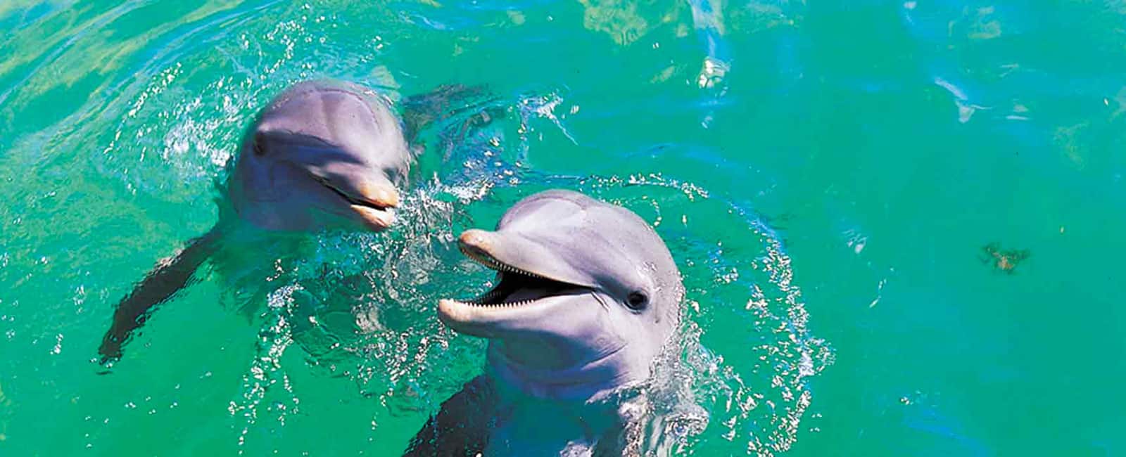 BAHAMAS