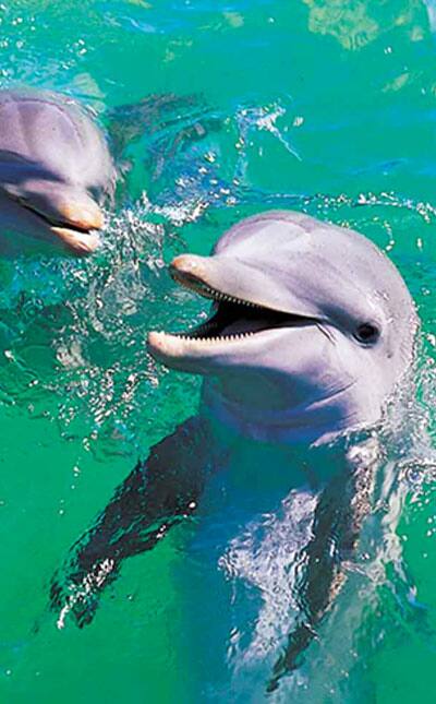 BAHAMAS