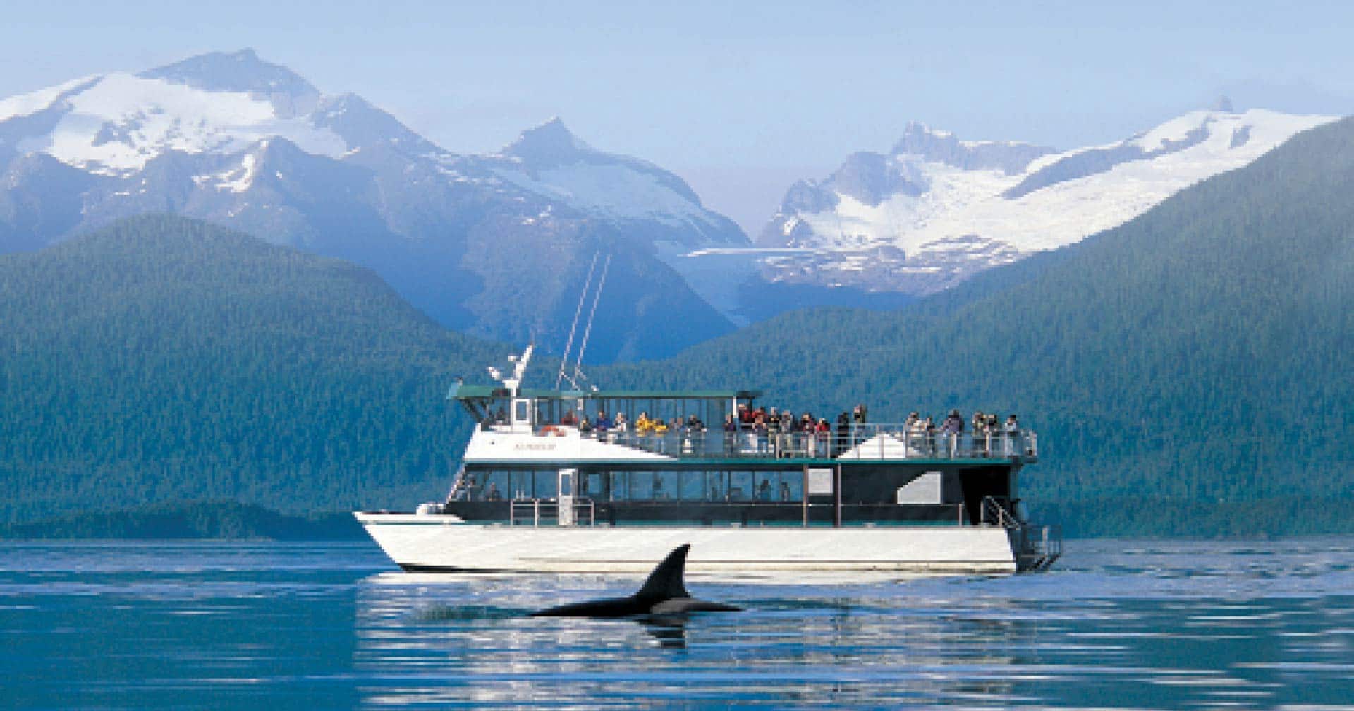 Mendenhall Glacier & Whale Quest