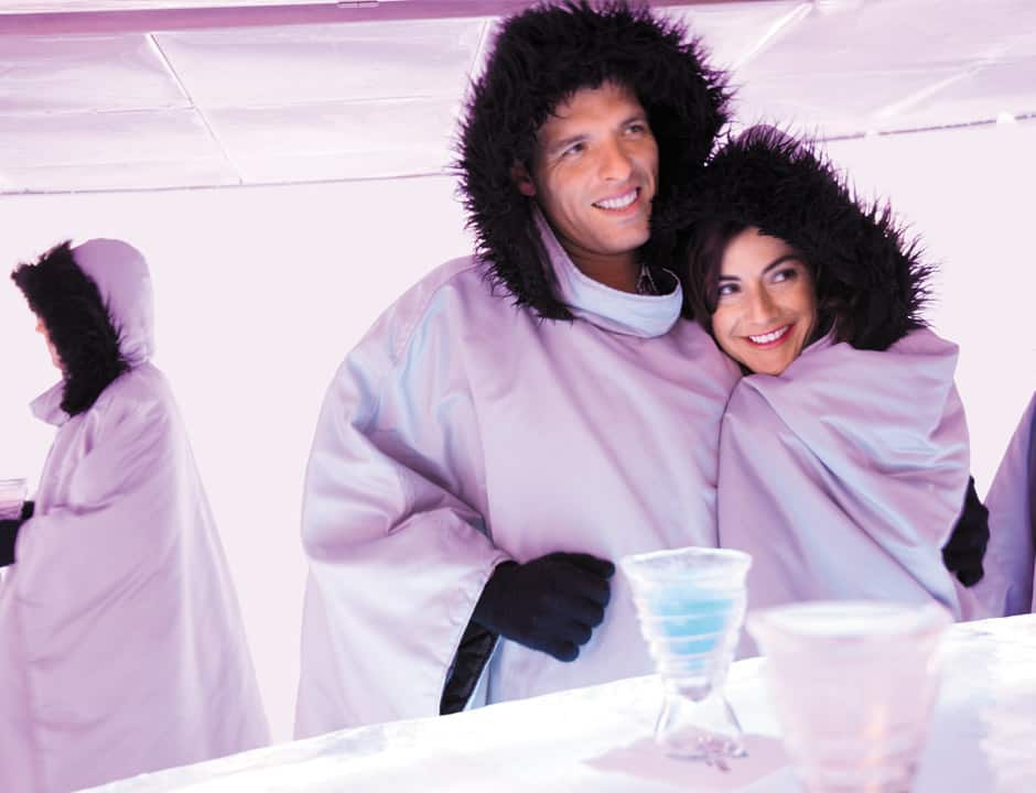 Skyy® Vodka Ice Bar