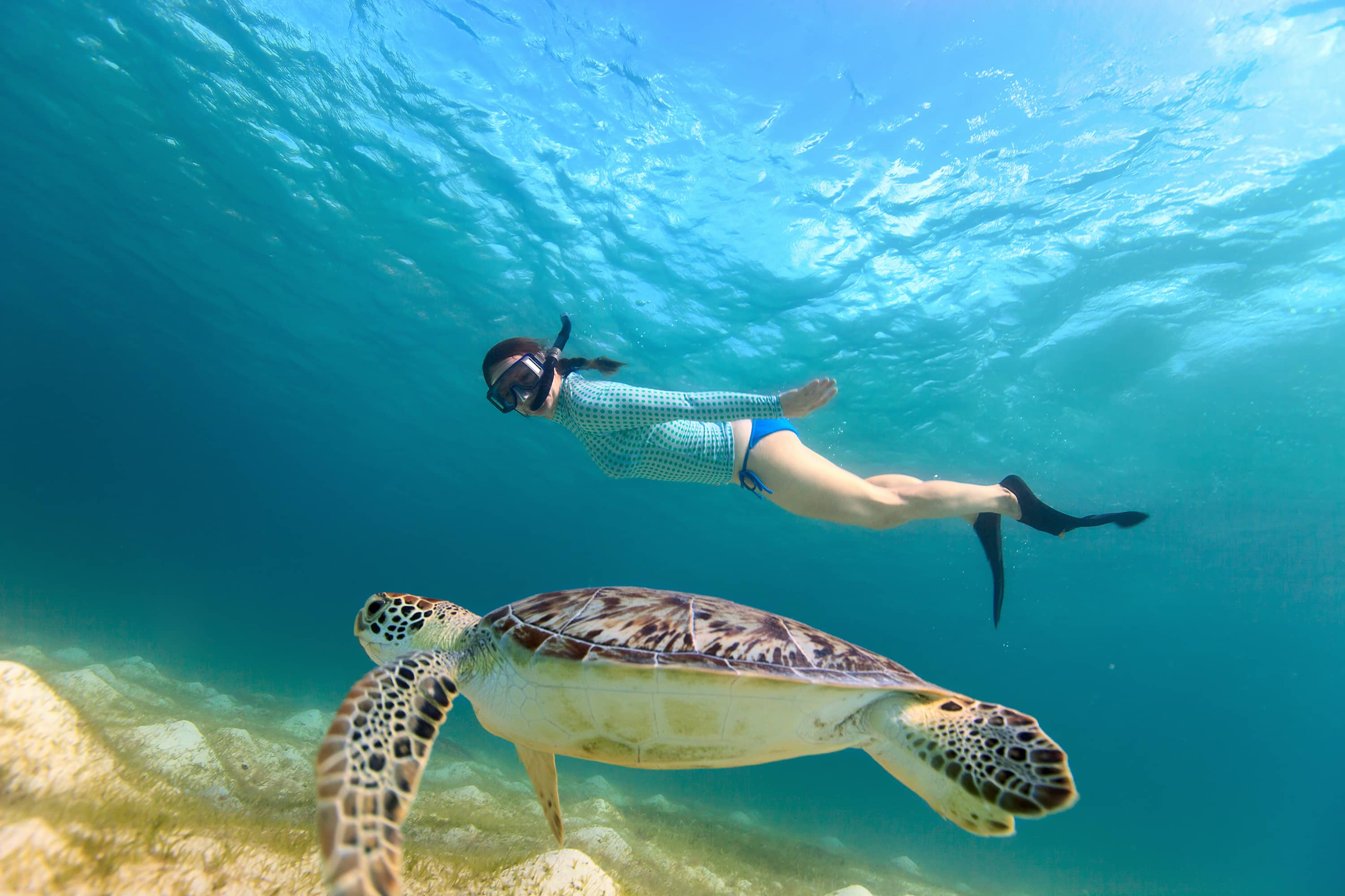 Snorkeling