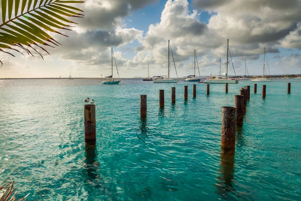 Cruising the ABC Islands: Bonaire