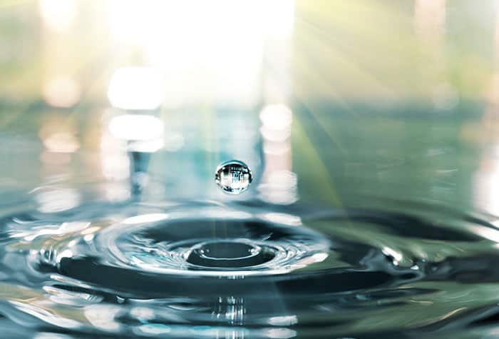 Water Conservation & Management